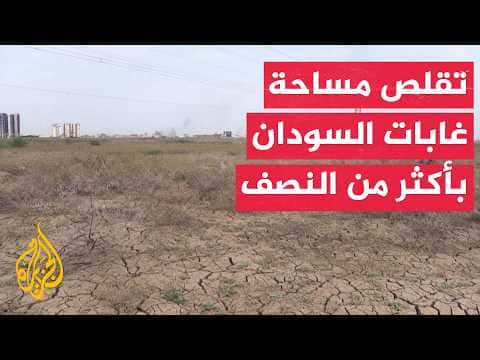 تراجع غابات السودان بنسبة 60%