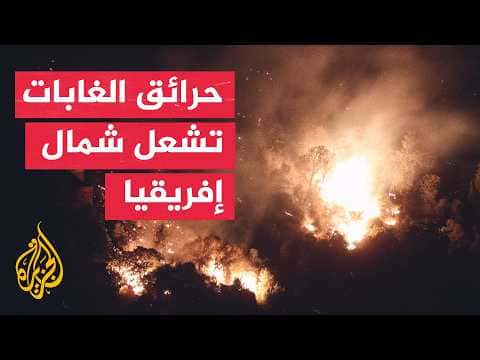 Tunisia and Algeria Battle Widespread Fires