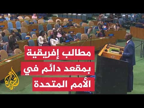 Africa pushes for UN Security seat