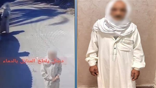 الداخلية توضح حقيقة فيديوهين في البحيرة والأقصر