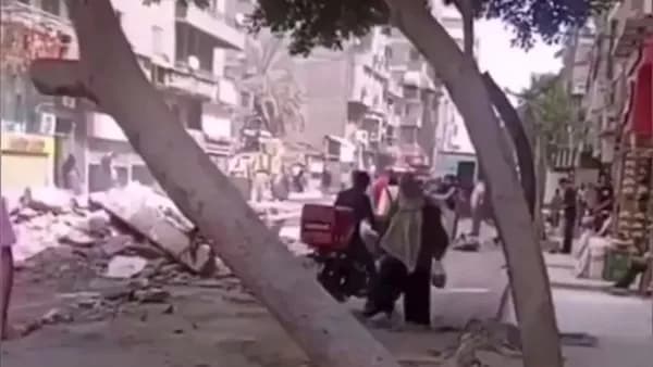محافظة القاهرة تنفي قطع شجرة بعين شمس