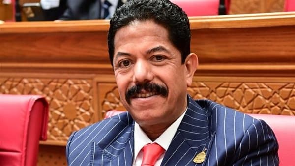 الحديوي يؤكد أهمية تأجيل تطبيق قانون الإجراءات