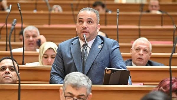 هاني شحاتة يقترح فرصة علاج للمدمن قبل الفصل