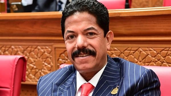 الحديوي: اعتراض السيسي على المادة 25 يبرز أولوية المساواة
