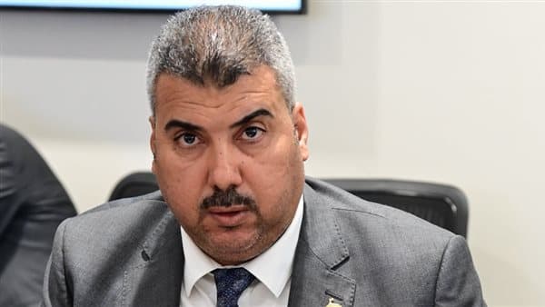 أبو الشيخ: اعتراض السيسي على المادة 25 يعكس الالتزام بالمساواة