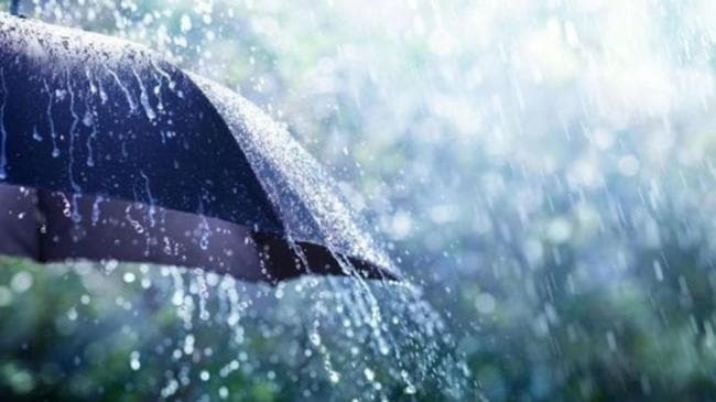 Weather update: heavy rain and winds