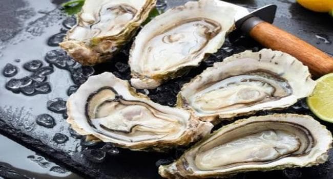 Oyster Spat Harvest Suspended 2026-2027