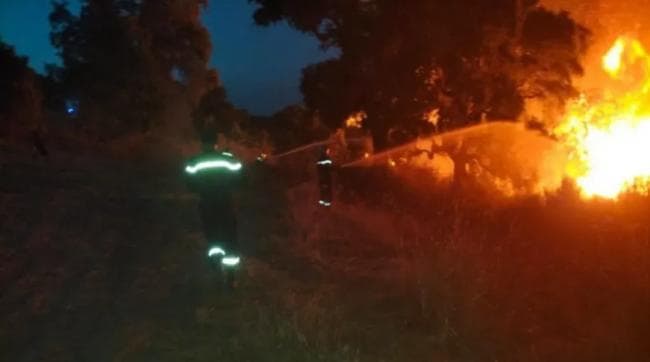 Algeria Wildfires in Jijel Bejaia Skikda