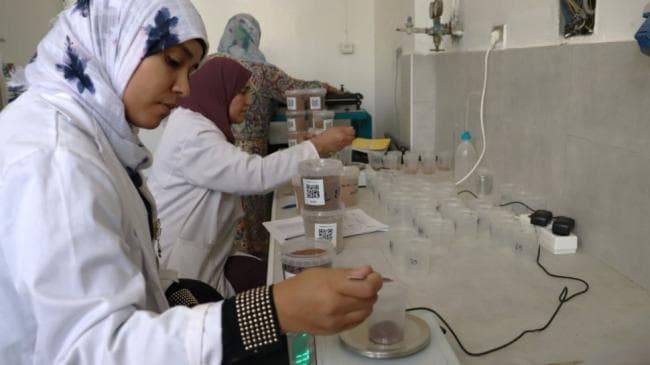 FAO trains Tunisian soil experts
