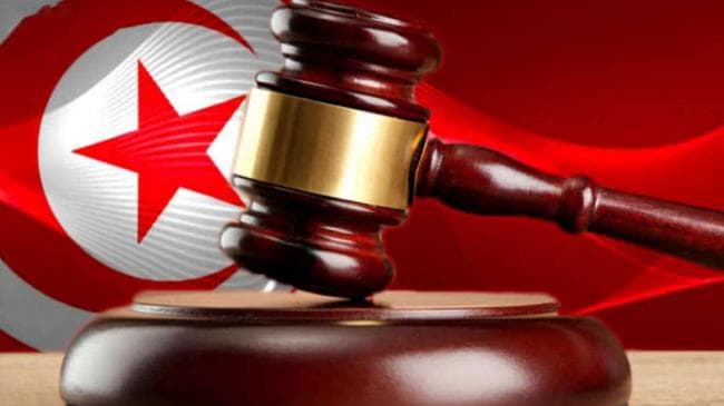 النيابة تتدخل في هجوم كلاب على قطة حاملة