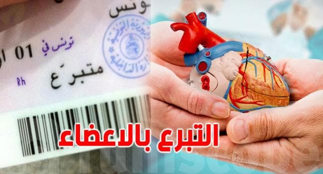 October 1: Awareness day on donor IDs in Nabeul