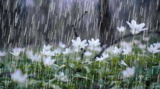 مقدمة من غد أمطار غزيرة في بعض المناطق