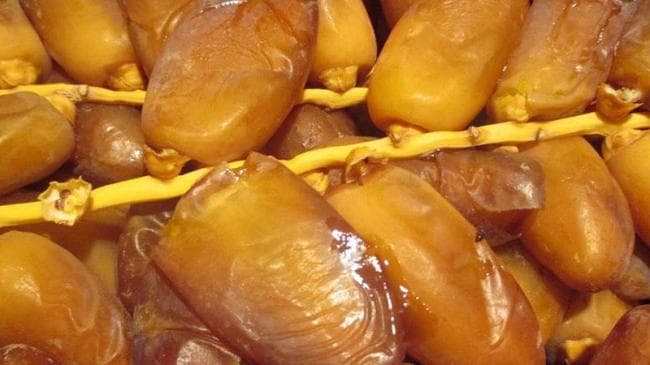 Tunisian Dates Export Surpasses 1 Billion Dinars