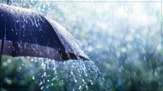Today: Heavy rain and temps to 42°C