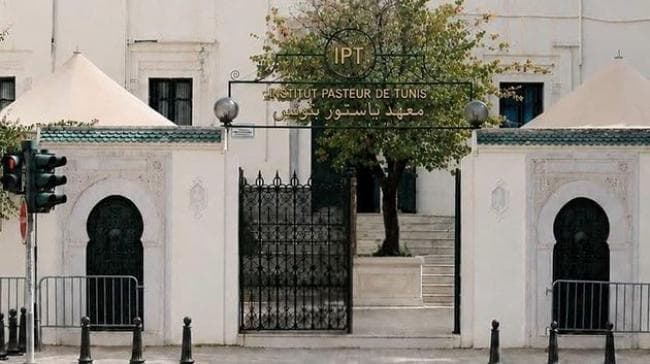 Pasteur Institute Develops Alzheimer Blood Test for Diabetics