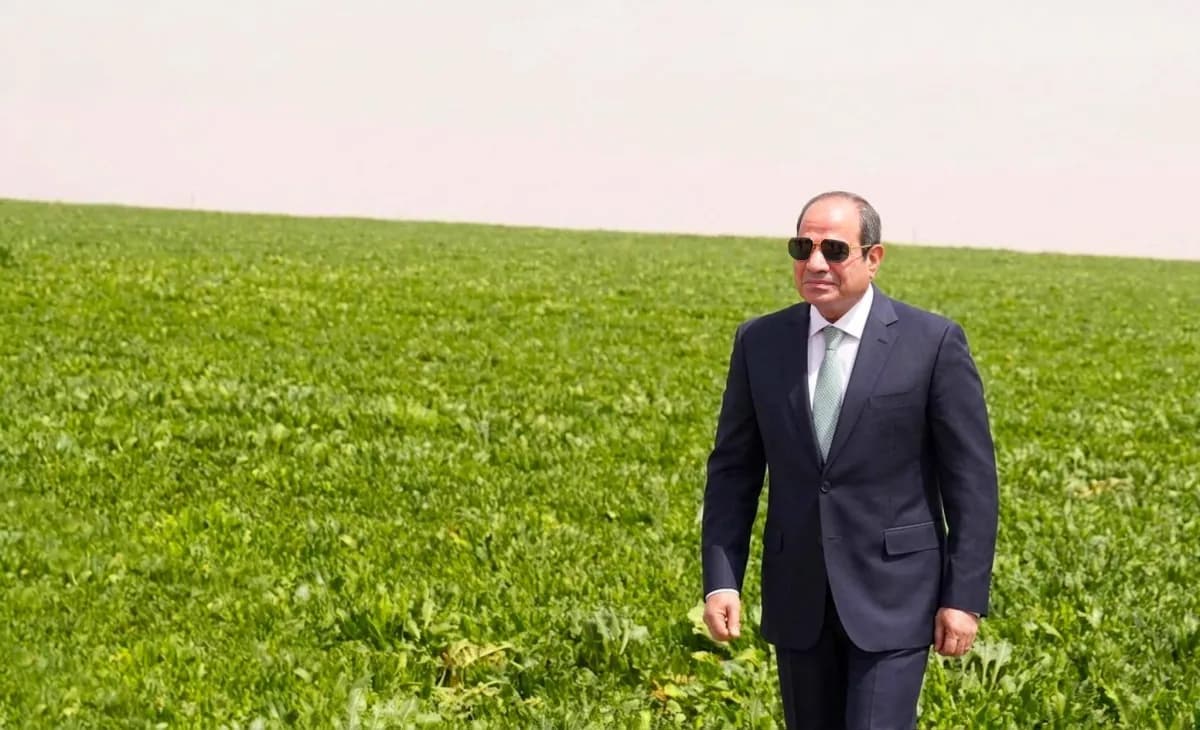 هل تُعيد الرقابة البرلمانية رسم الدور التنموي لجهاز مستقبل مصر؟