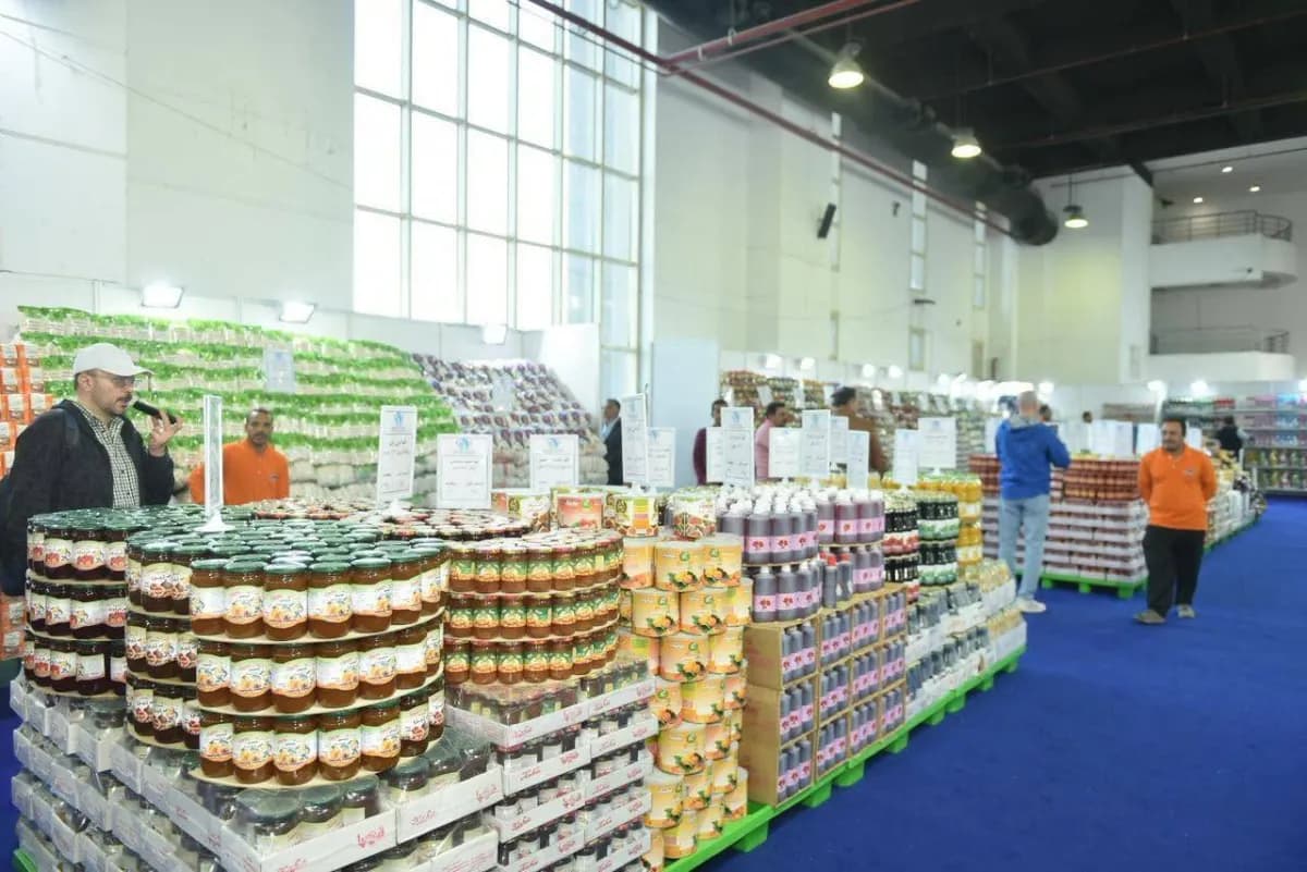 Dollar fluctuations disrupt commodity prices and pressure Egyptian markets