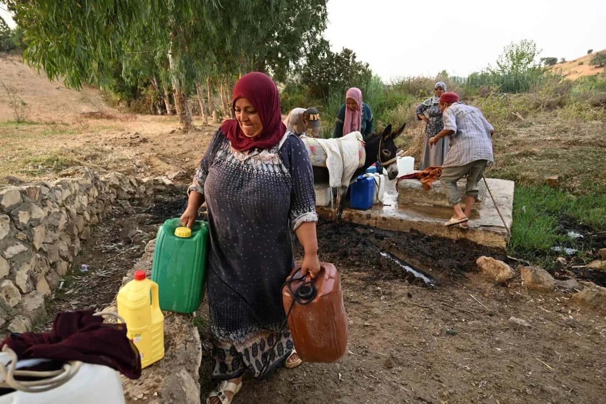 Tunisians Saddened by Heat and Outages