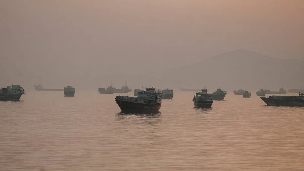 Scientists Warn Gulf Ships Threaten Biodiversity