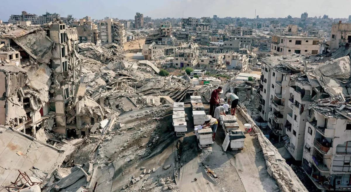 Arab-Islamic Criticism of Israeli Actions in Jerusalem