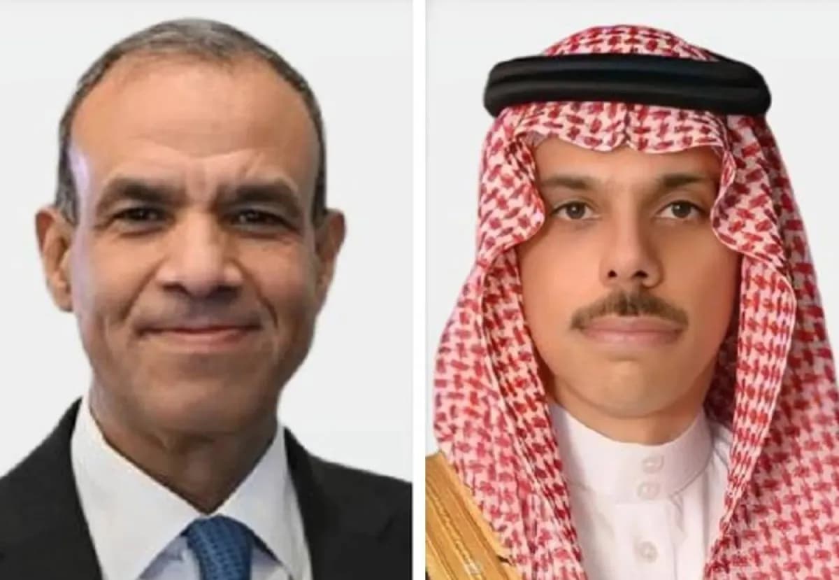 Saudi and Egypt hold talks on regional stability