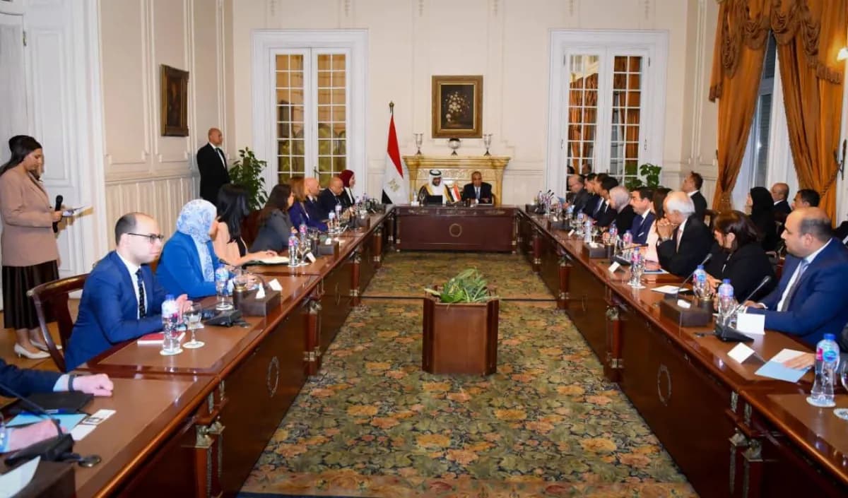 Egypt Uses Private Sector for African Expansion