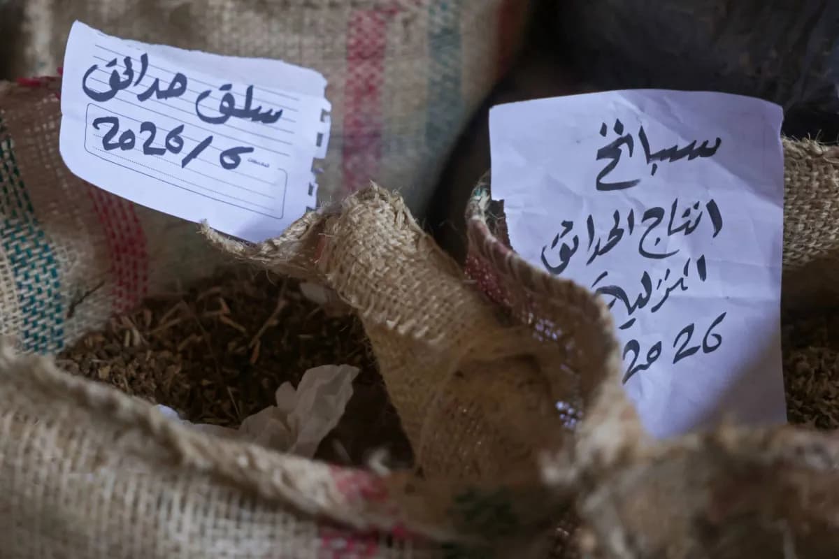 Gaza Seed Bank Brings Hope