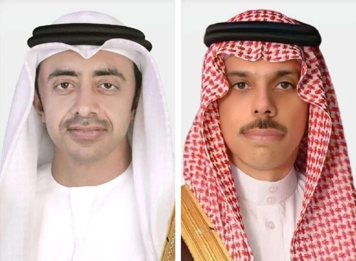 Saudi and UAE foreign ministers discuss regional tensions