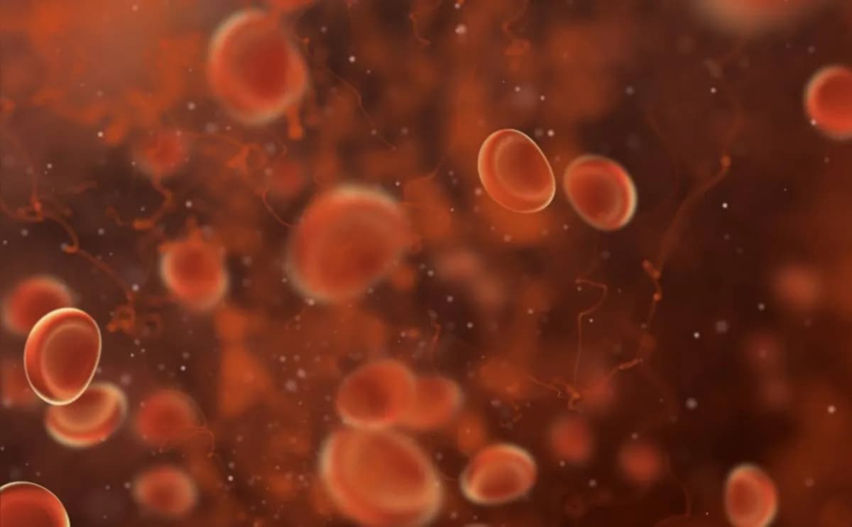 Vitamin C effectiveness in blood cancers