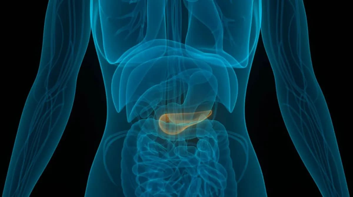 AI detects early pancreatic cancer risk