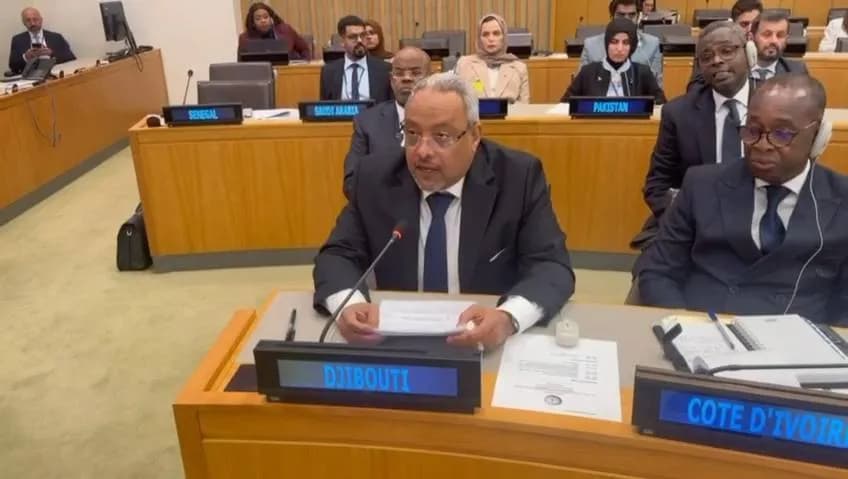 Djibouti Confronts Border Issues