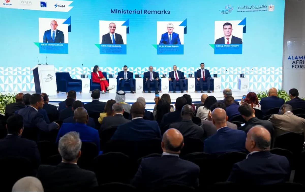 Egypt hosts Africa summit for strategic ties