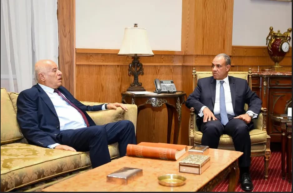 Egypt Focuses on Palestinian Reorganization