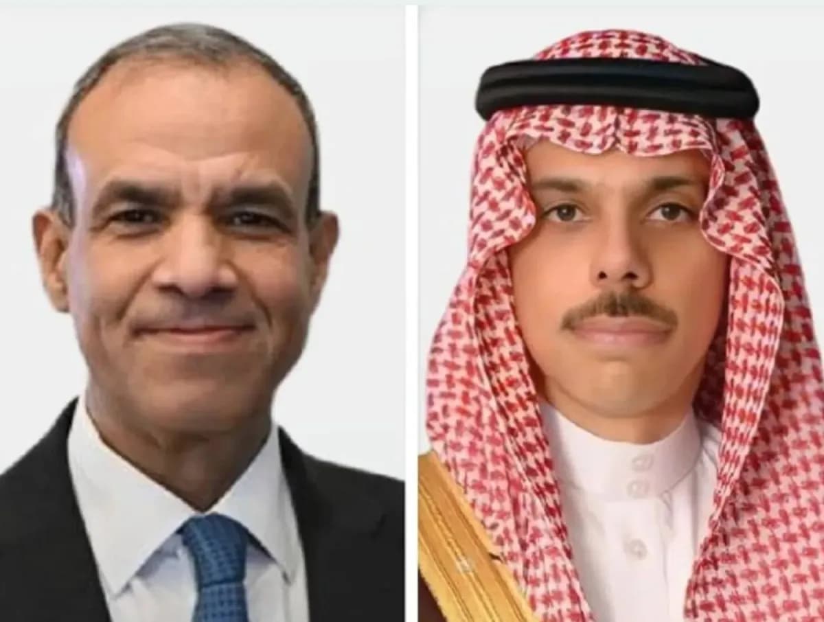 Saudi and Egypt collaborate on regional stability