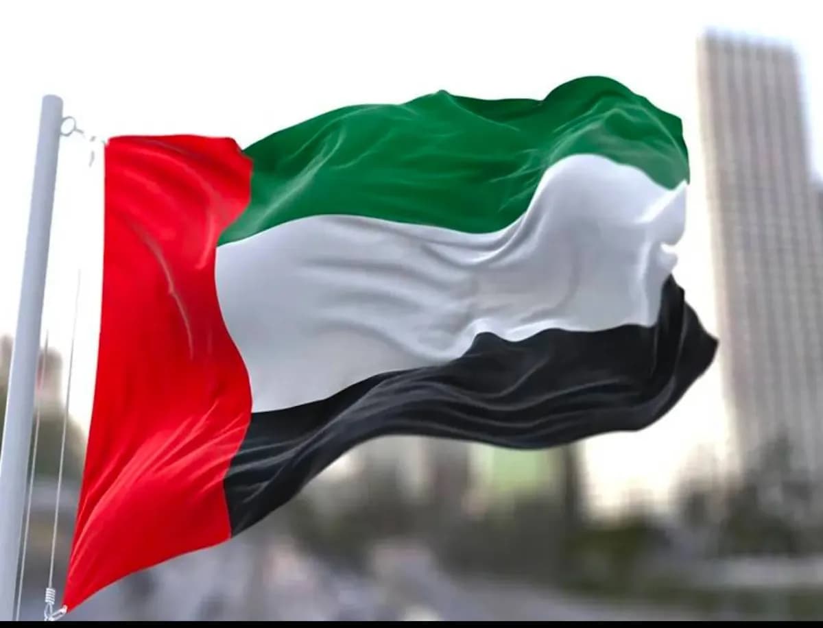 الإمارات تنقذ 22 من حادث بحرجي