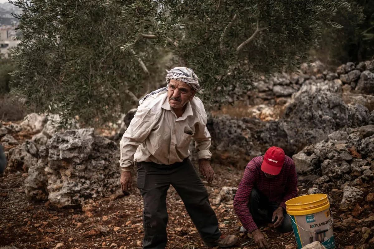 Palestinians Confirm Election Postponement