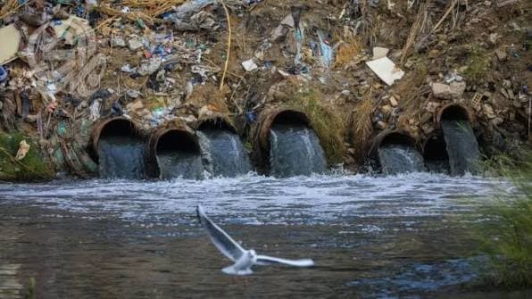Over 500 Pollution Sources Endanger the Tigris