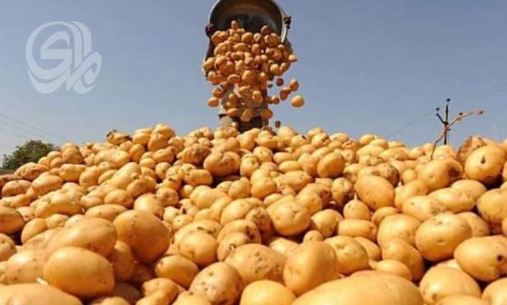 Agriculture bans imports of 40 items including potatoes and onions