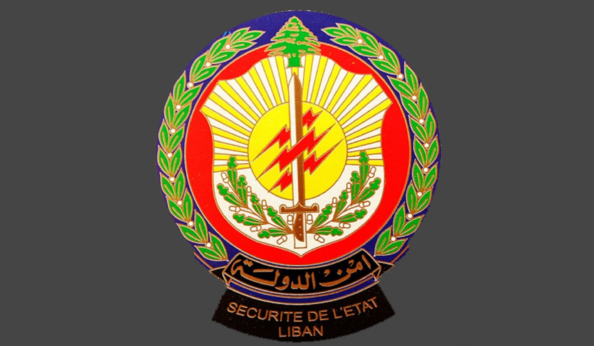 State Security Busts Illegal Generators in North