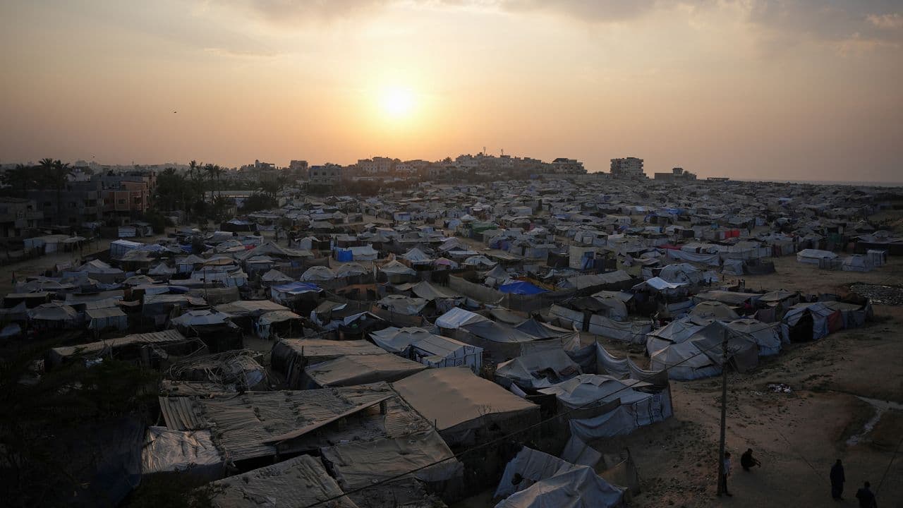 Alpha missing in Gaza