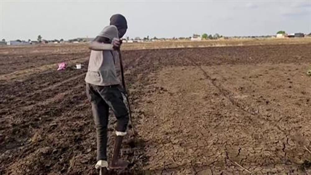 Sudan Faces Crop Threats Due to Water Decline