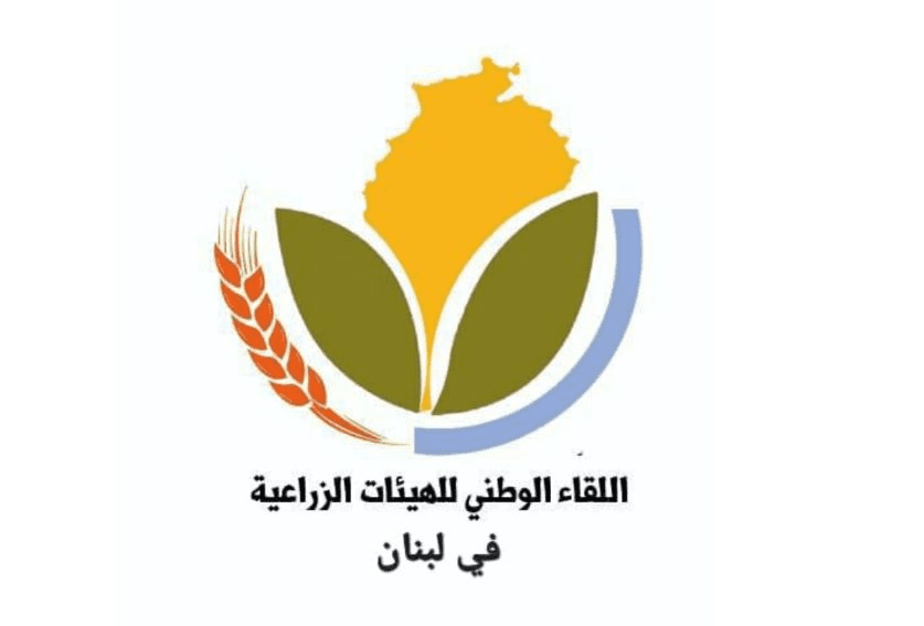 Agricultural authorities condemn land burn between Aita Al-Jabal and Hadath