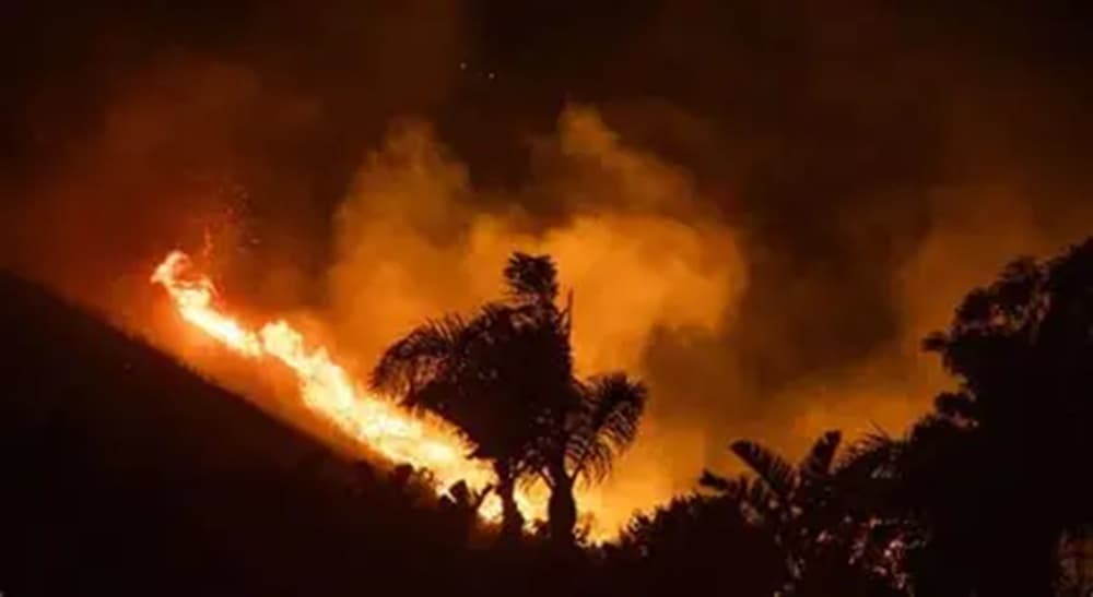 Israeli Fires in Dier El-Mazra'a and Surroundings