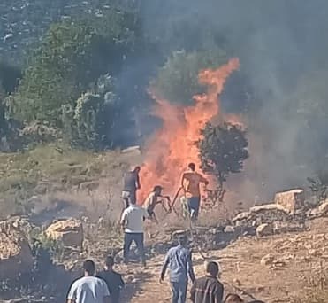 Fire erupts in Jurod al-Tineh farmland