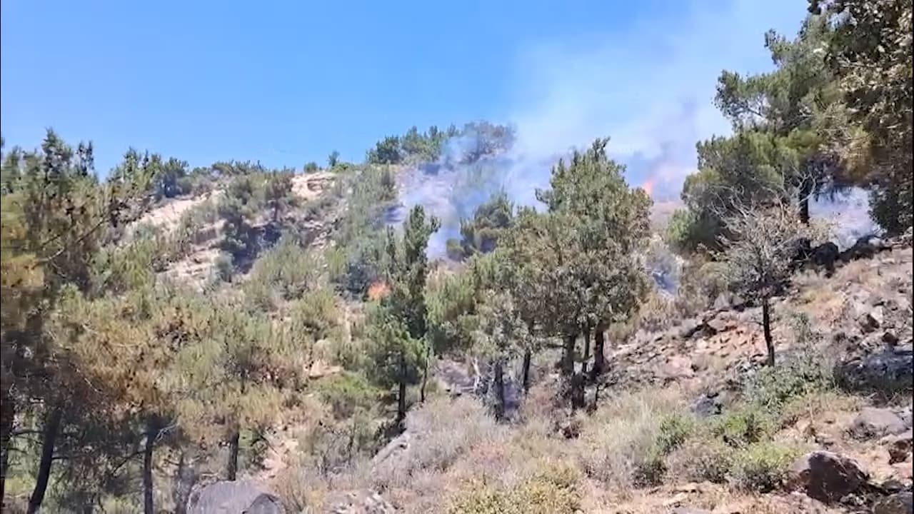 Efforts to control fires in Western Beqaa forests