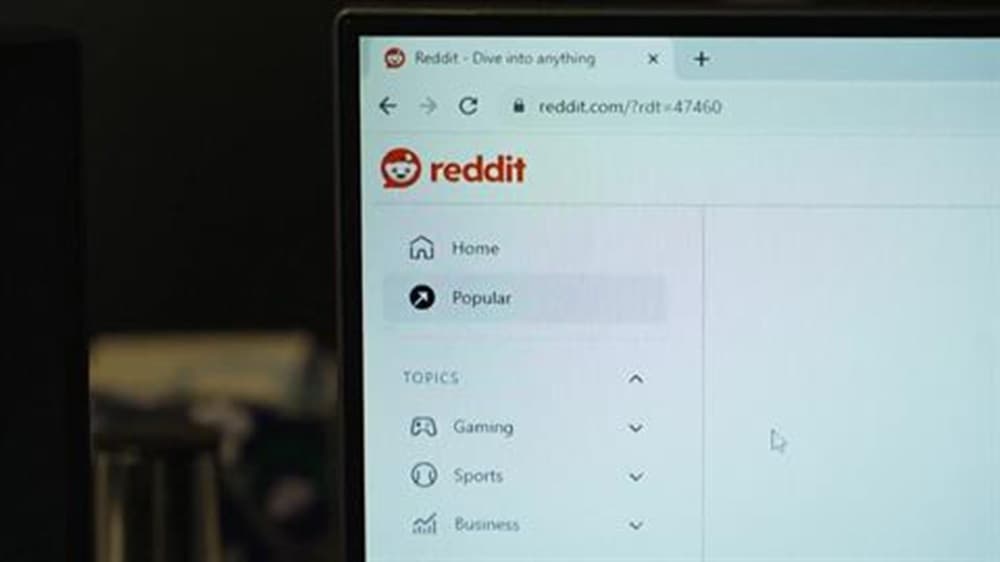 بلجيكا تفرض قيودًا على ChatGPT وReddit