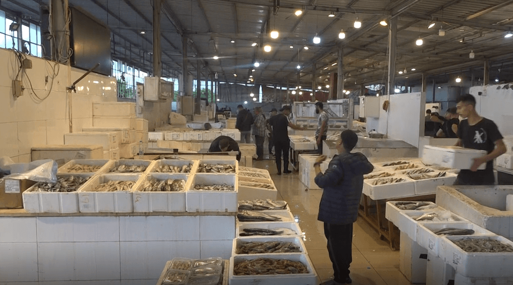 Photo Report | Fish Market Development