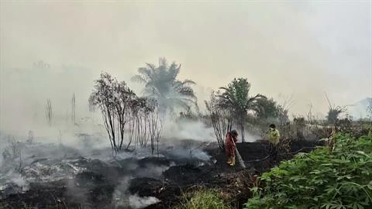 Forest fires smother Nanggaraya with smoke