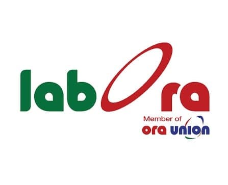 Labora promotes online work in Lebanon