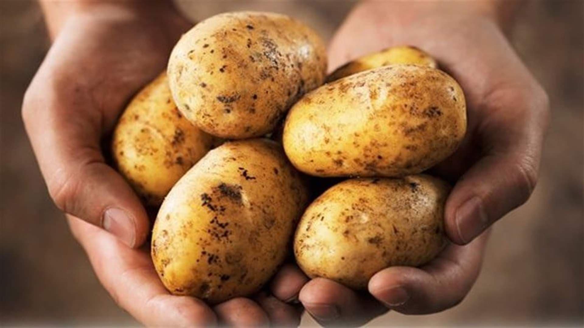 البطاطا خيار صحي للرجيم